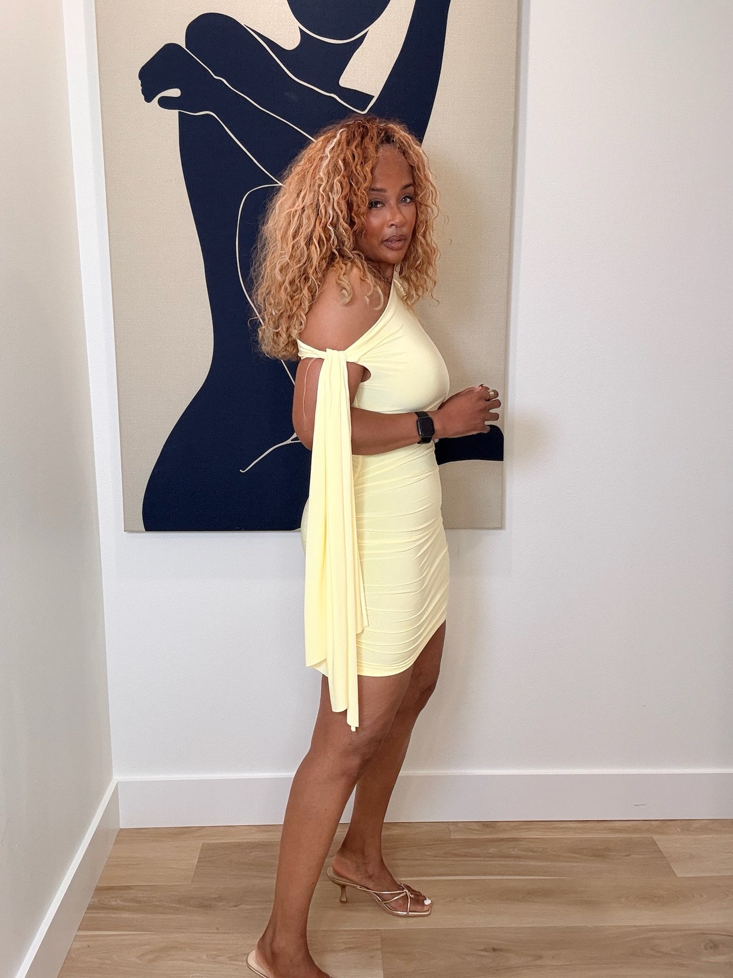 Honeybee Mini Dress