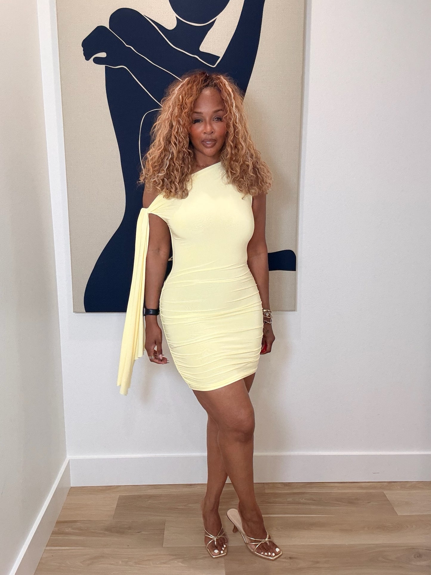 Honeybee Mini Dress