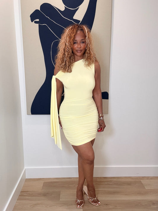 Honeybee Mini Dress