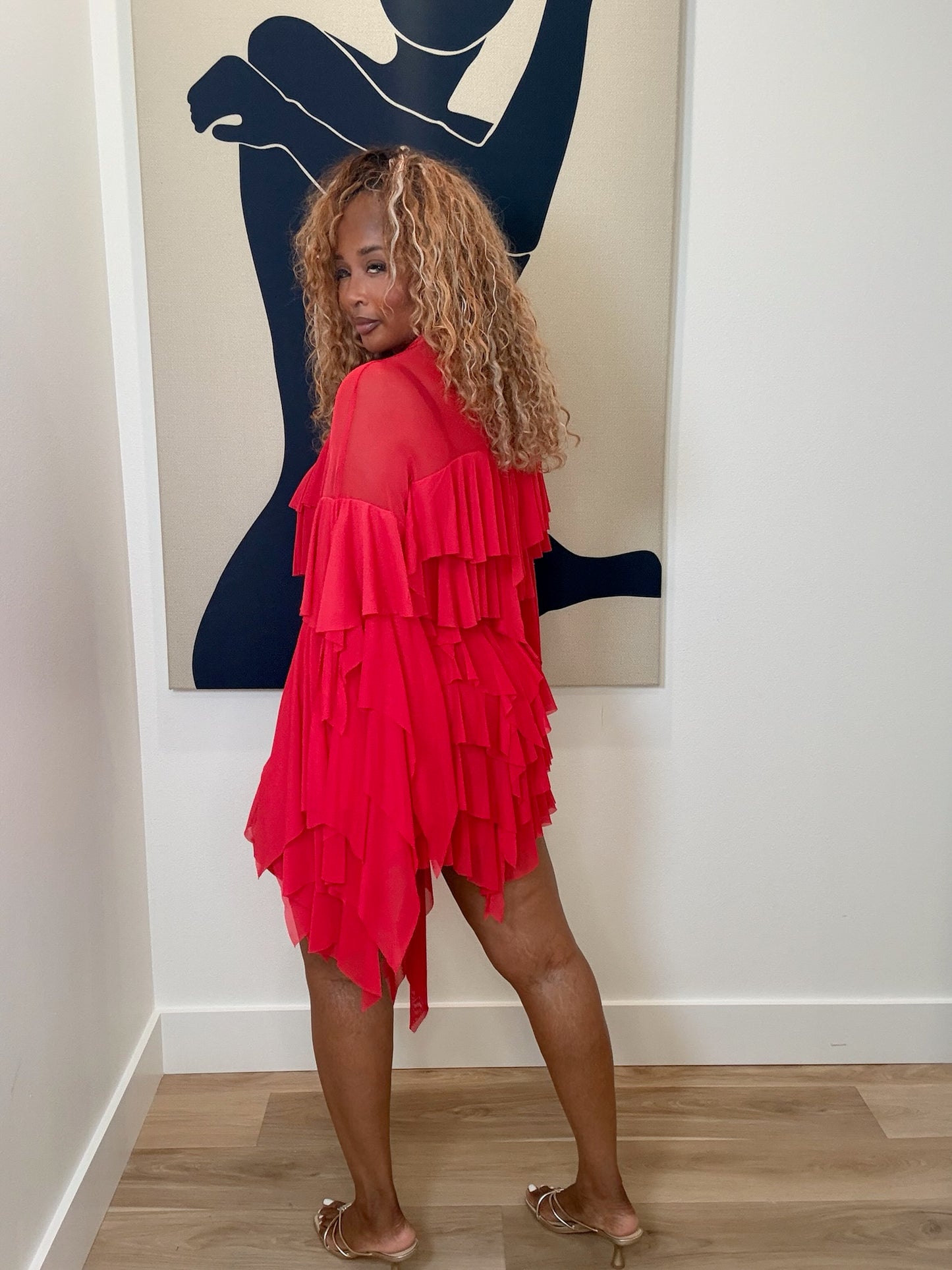 Ruffle And Roses Dress